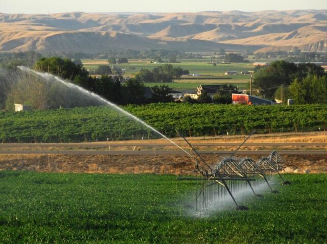 Water Management
